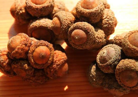 老中医密不外传的补肾小偏方:用它泡酒喝,让你