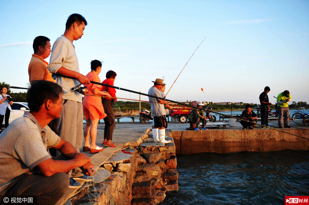 天文大潮时，美国红鱼随潮水觅食来到渔港码头，潮水被码头截住后，鱼群也停留在码头附近聚集觅食。