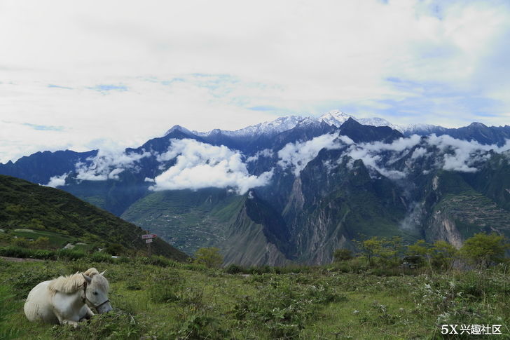 拔草抖音网红酒店--浮云牧场