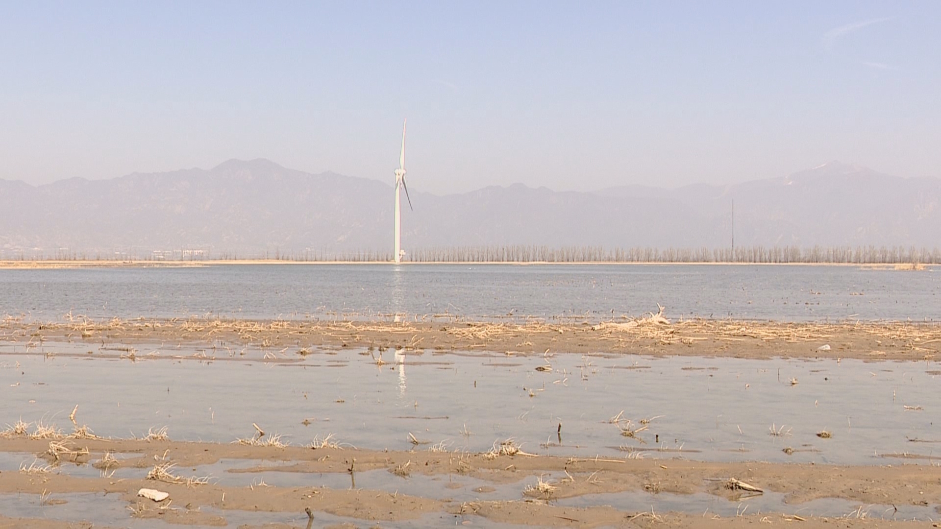 候鸟翔集官厅水库 迁徙高峰加速“北迁”_北京时间