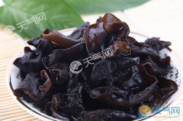 木耳的营养价值及功效 木耳是寒性食物吗