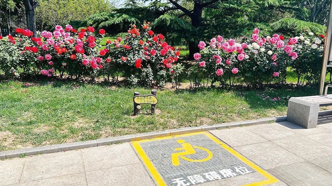 让生活“畅通无阻”！顺义区推进无障碍环境建设
