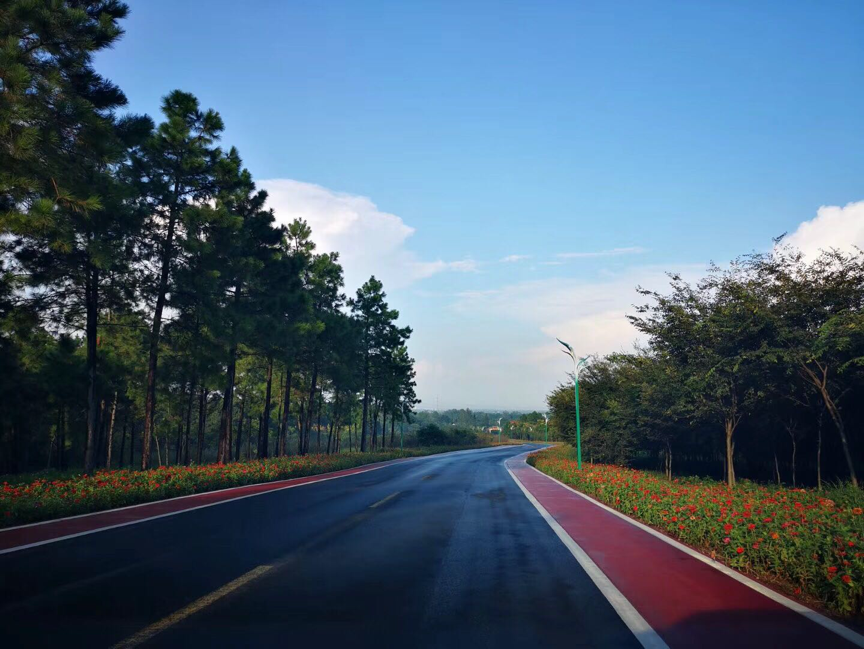“苏控集团”2019风光智跑江苏溧阳站(图8)