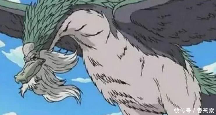 海贼王:最可怜的五头龙,第三头沦为坐骑,最后一