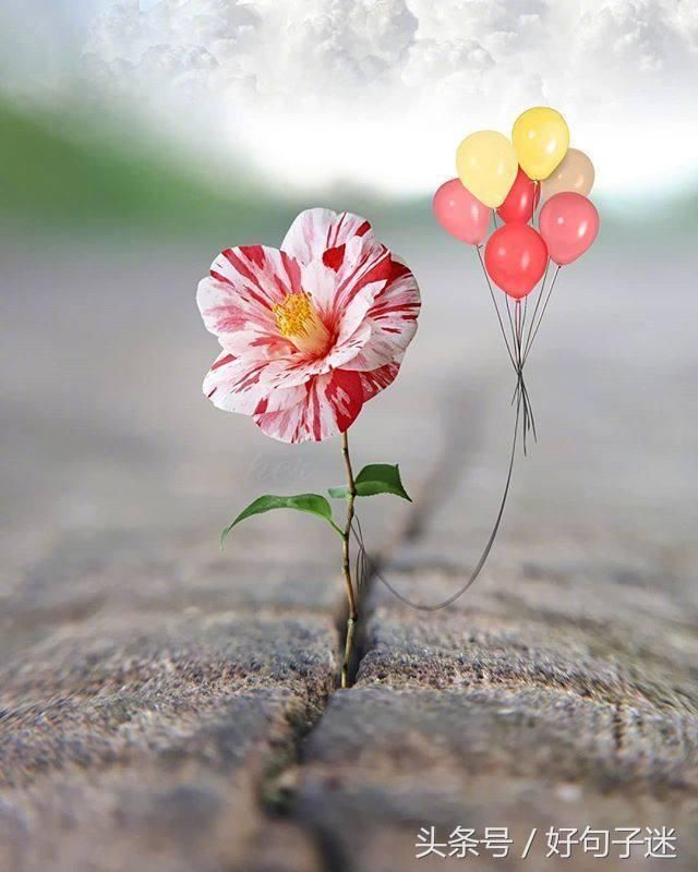 适合早上发的说说短句,句句正能量,拿去发朋友