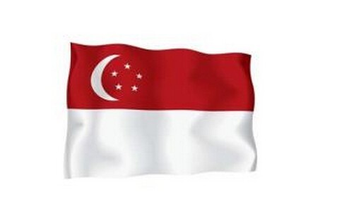 整理新加坡结婚证无犯罪证明出生证公证认证