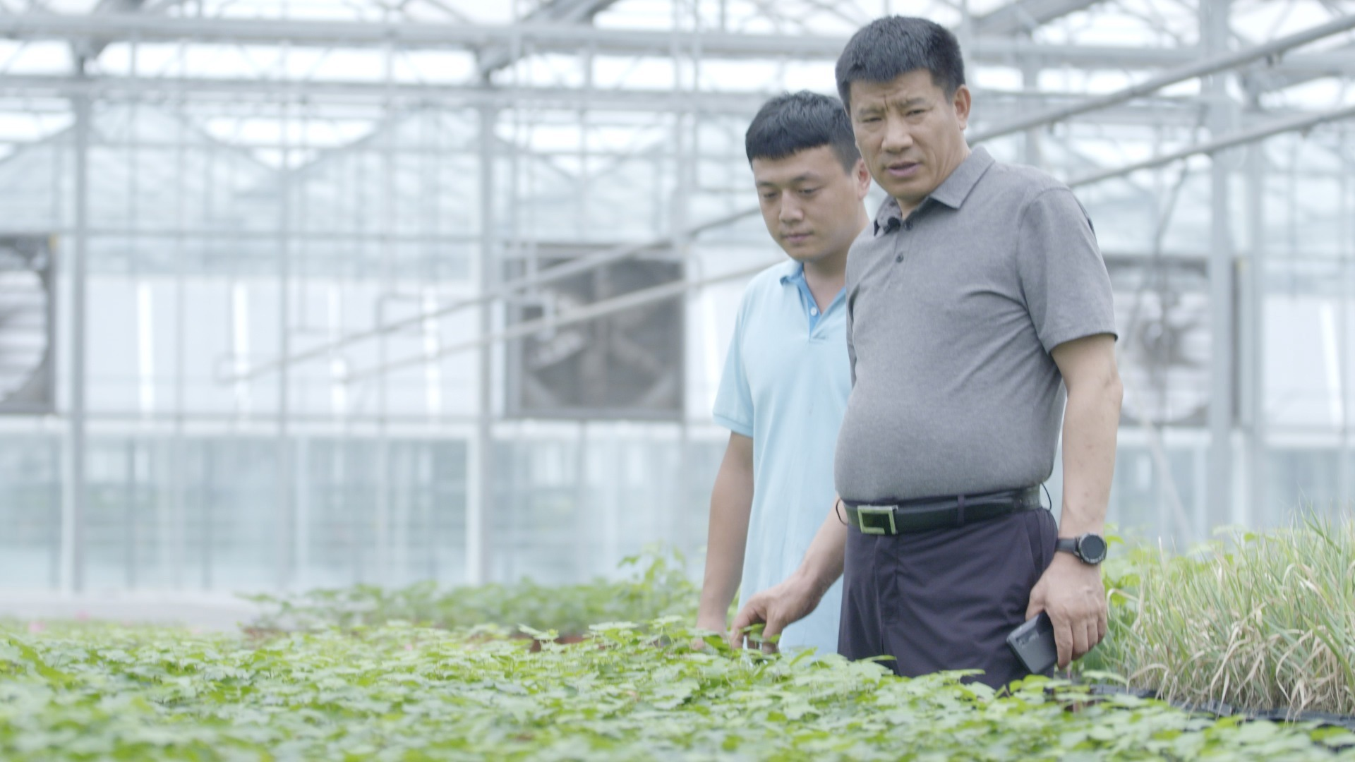 70年70人|坚信一粒种子能够改变世界的新农人