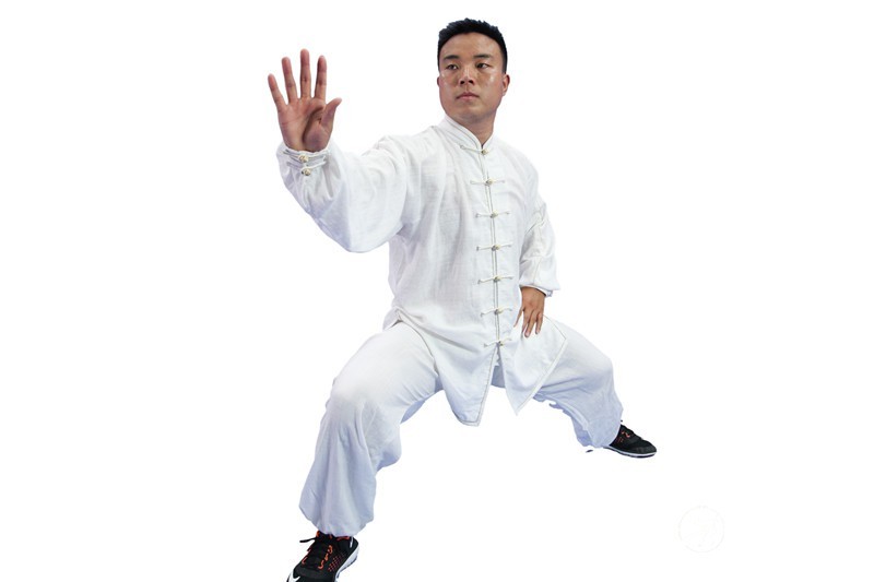 上海地区优秀太极拳传播者——褚亚龙 上海地区优秀太极拳传播者——褚亚龙