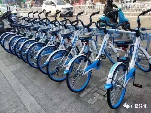 哈罗单车现在怎样了?押金到底能退吗?