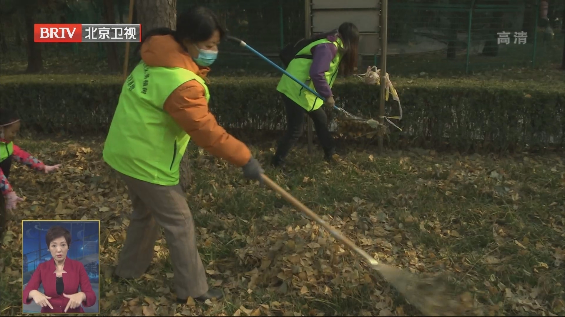 北京开启冬季植树尽责活动 八大类尽责形式覆盖全年