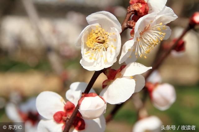 16条说说人生感悟的好句子, 看完让你受益匪浅