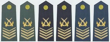 【军队常识】中国的军衔和军官资历