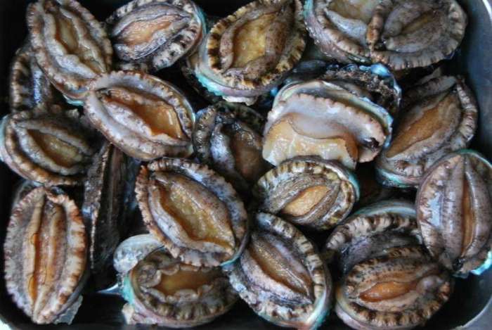 鲍鱼几头是什么意思? 穷人家没吃过几次鲍鱼