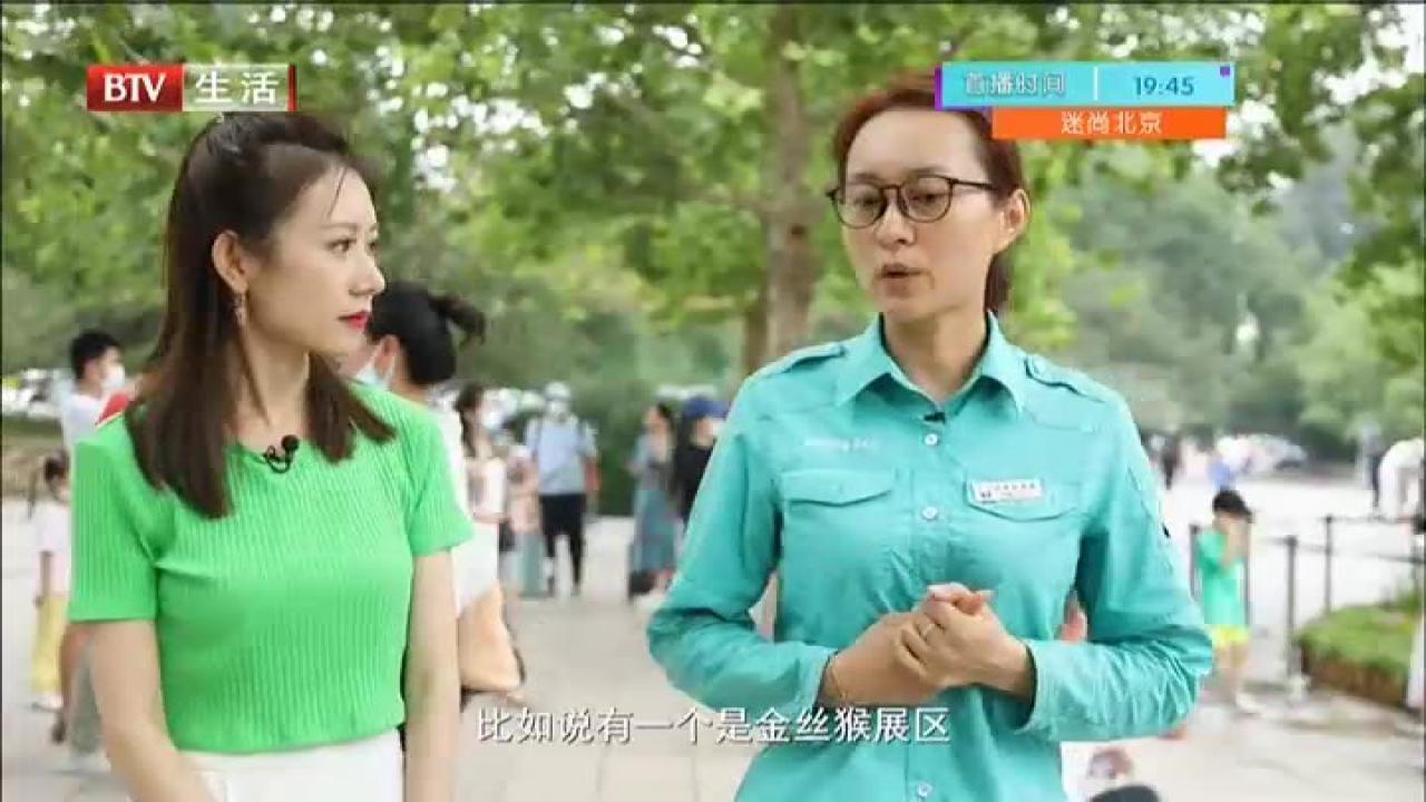 《迷尚北京》20210725文化游园会·走进北京动物园
