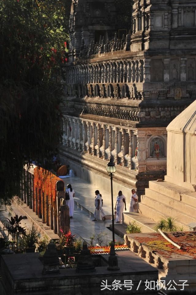 古代印度历史上的王朝之孔雀王朝