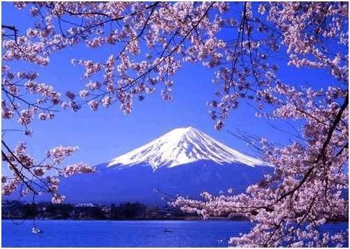 富士山土地权不属于日本,其实是租来的,每年都