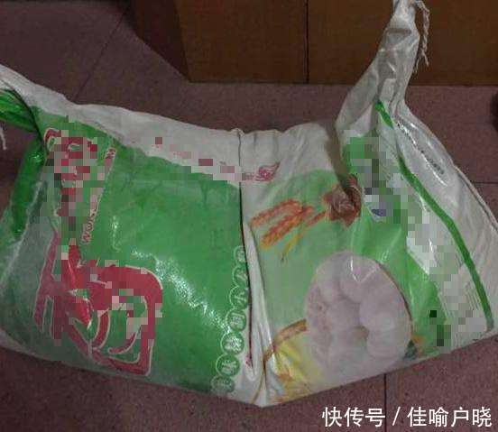 父亲分财产, 给儿子一袋钱, 女儿一袋面, 儿子傻