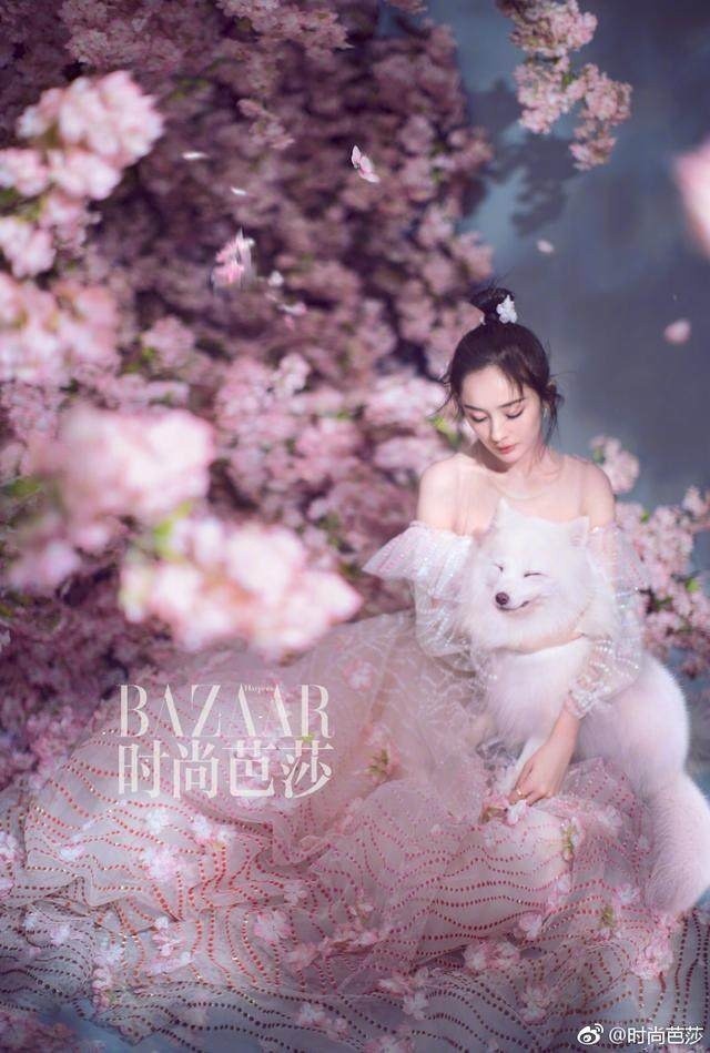 杨幂赵又廷时尚芭莎再合体,续写三生三世桃花之缘