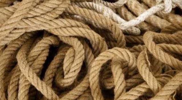 古代没纸怎么上厕所,法国用麻绳,俄国靠鹅颈,日