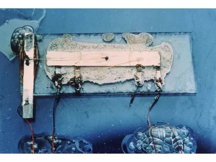 老老实实做代工的台积电,在芯片业扮演什么样