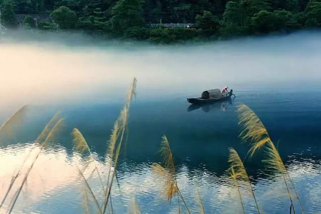 《诗经风秦风蒹葭》篇的蒹葭指的是什么?