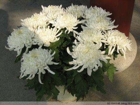 10首关于端午节的古诗词,吃粽子,看龙舟,赏诗词