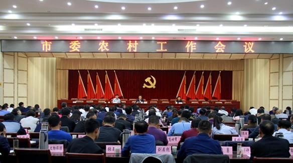 汾阳市召开农村工作会议 谱写乡村振兴新篇章