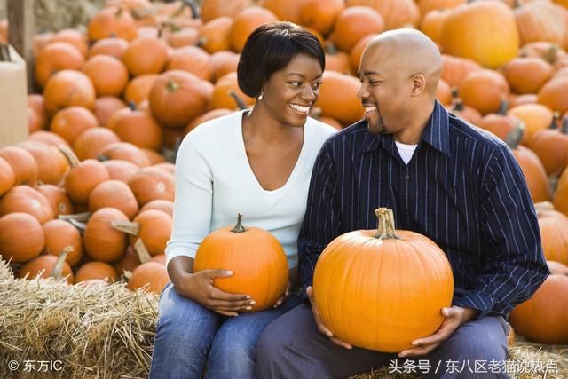 不受贸易战冲击,美国农民对川普支持率上涨