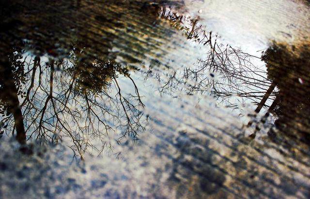 农村俗语亲戚别共财,共财断往来,是什么意思