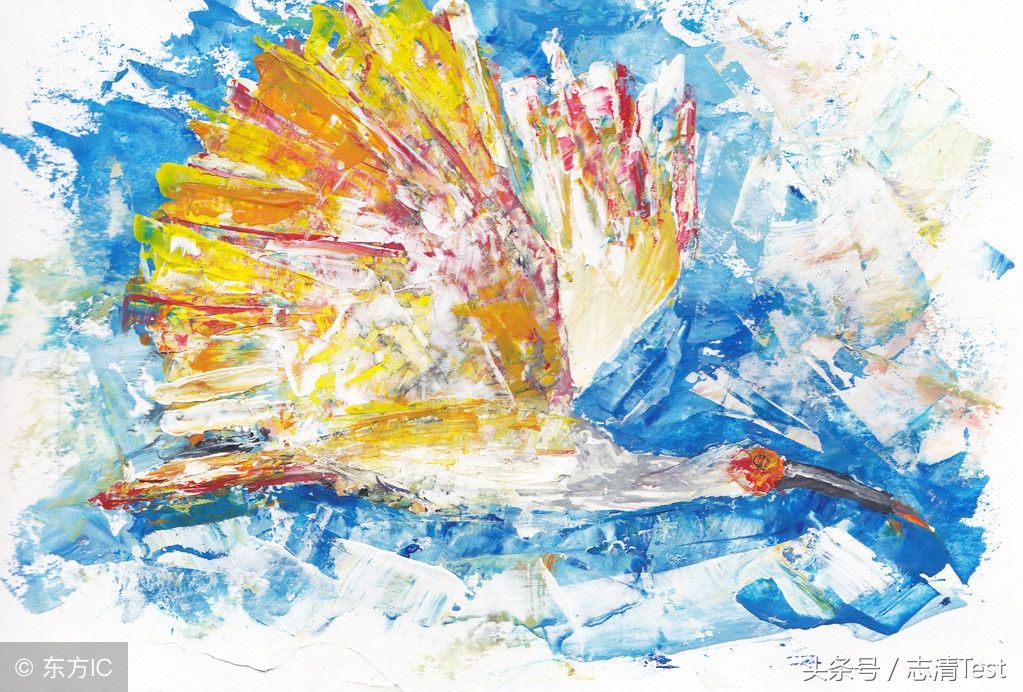 十大保护动物之一:中国最珍稀的鸟类,被誉为东