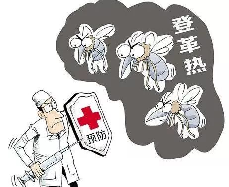 【突发】安徽检出首例境外输入性登革热型病例