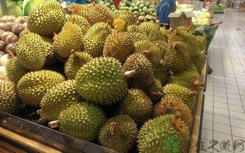 高价格的榴莲,其实可以种在盆里当盆栽,不仅好