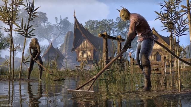 《老滚6》到底什么时候出?守口如瓶的B社上古