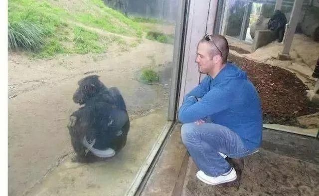 开心一刻:县长下班早,回家想给太太惊喜,结果他