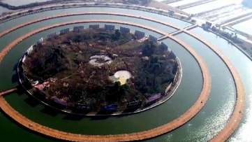 瞰中国|洪泽湖芦苇迷宫 迷你千遍不厌倦