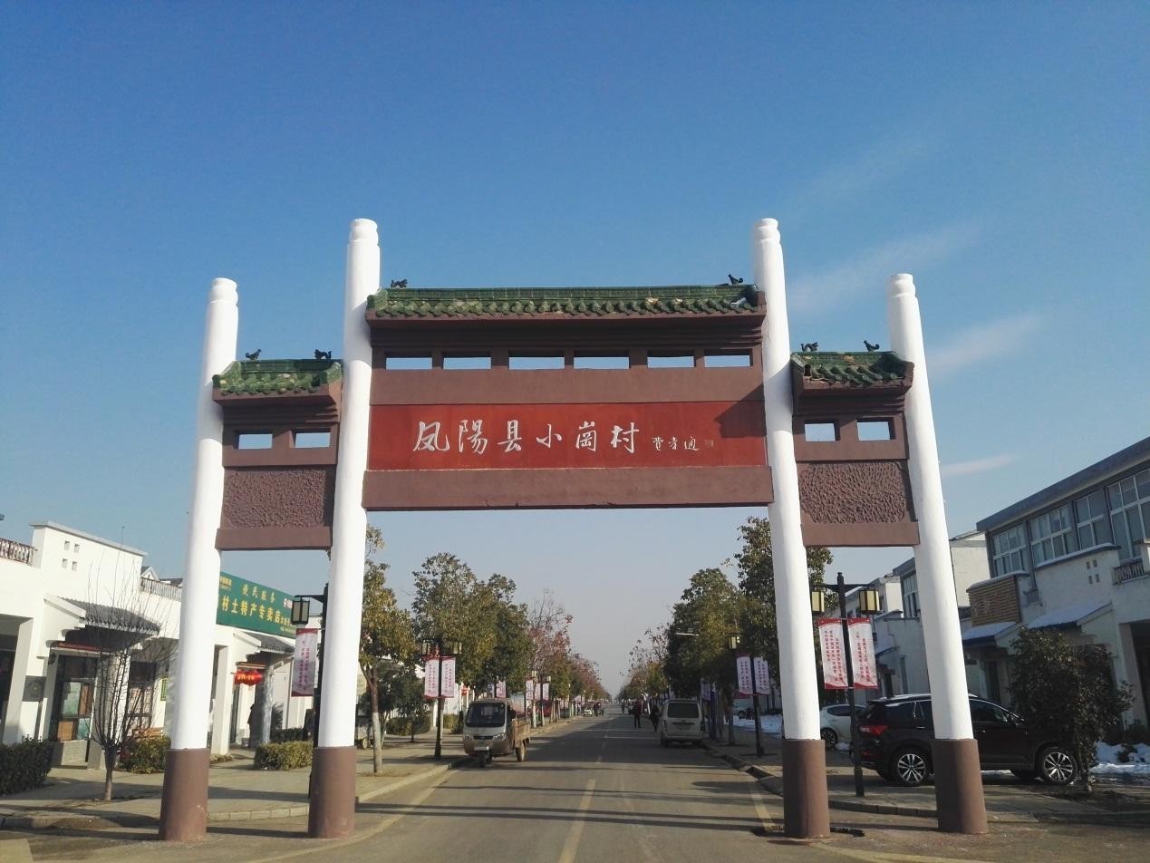 农村党组织工作条例,乡村振兴的红色引擎