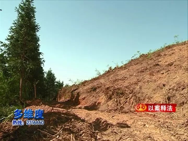 【以案释法】事发青阳:采伐林木需办证 滥伐盗