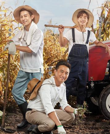 黄磊撒贝宁,都是聪明的面具下为何相距越来越