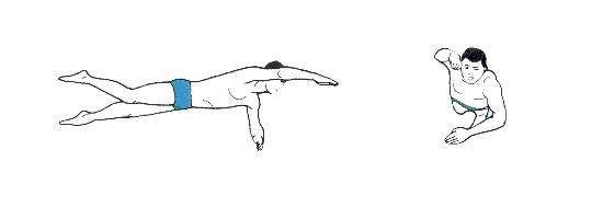 改进自由泳技术,做到动作好看速度又快!