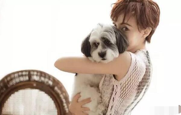 11年前慈善夜邓超孙俪零捐款被喷到现在揭开