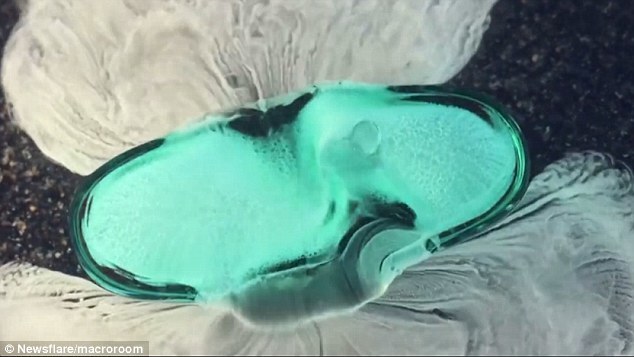 药片在胃里溶解是啥样？微距摄影视频展示细节