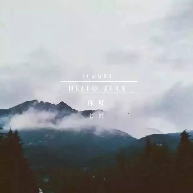 今天泰山云海笼罩，雨后景色宛若飘逸仙境