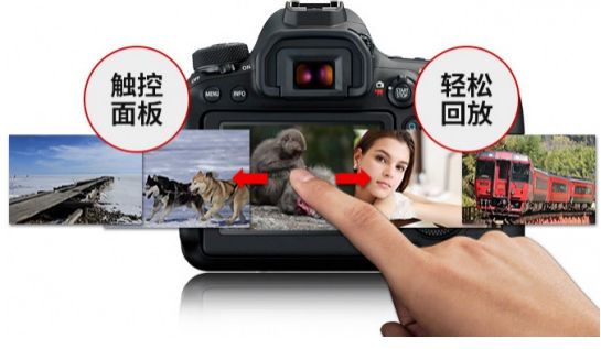 佳能6D2 PK其他全画幅相机