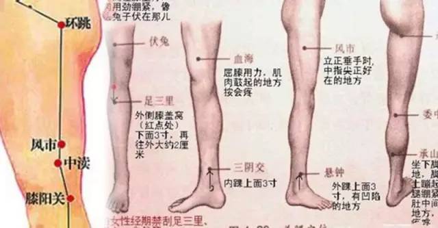每天敲打这条神奇的经络50下，让你气血足了！