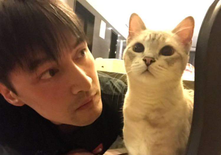 爱猫达人胡歌,特发微博告知不收礼物,背后原因