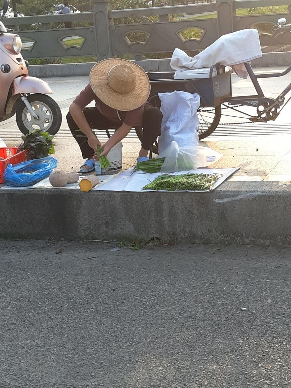 农村创业项目,乡镇上现在做什么生意赚钱,乡镇