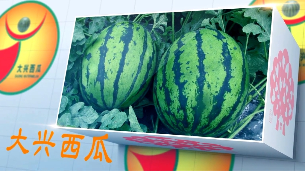 平谷大桃 大兴西瓜等当选“北京农业好品牌”