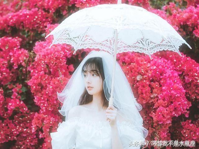 全!12星座2019年运势详解(事业,爱情,财富,健康