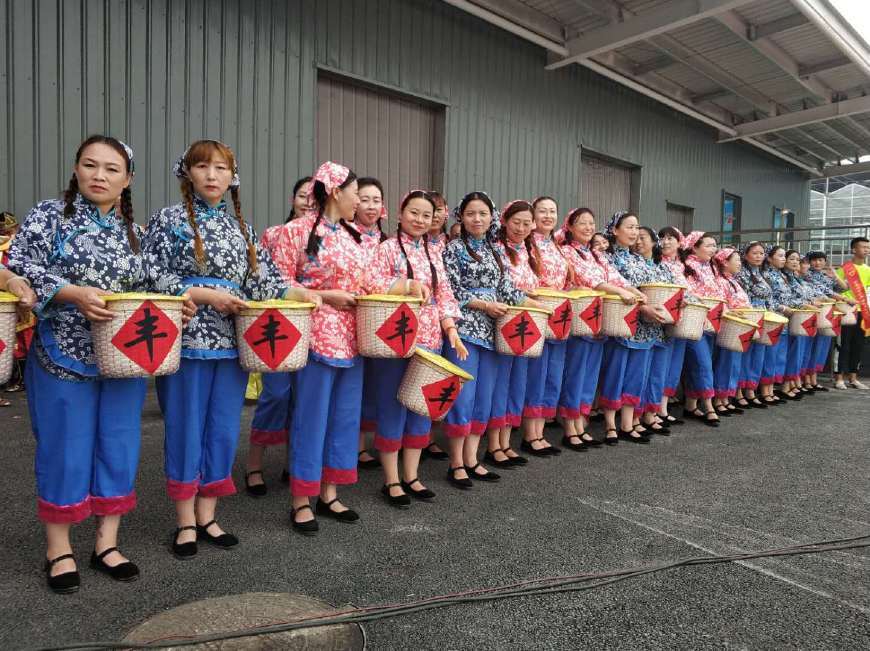 小黄花种出致富大希望 \首届大同黄花丰收活动