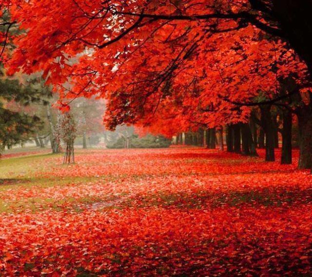 东湖高新(600133)最新消息出炉,最佳布局信号